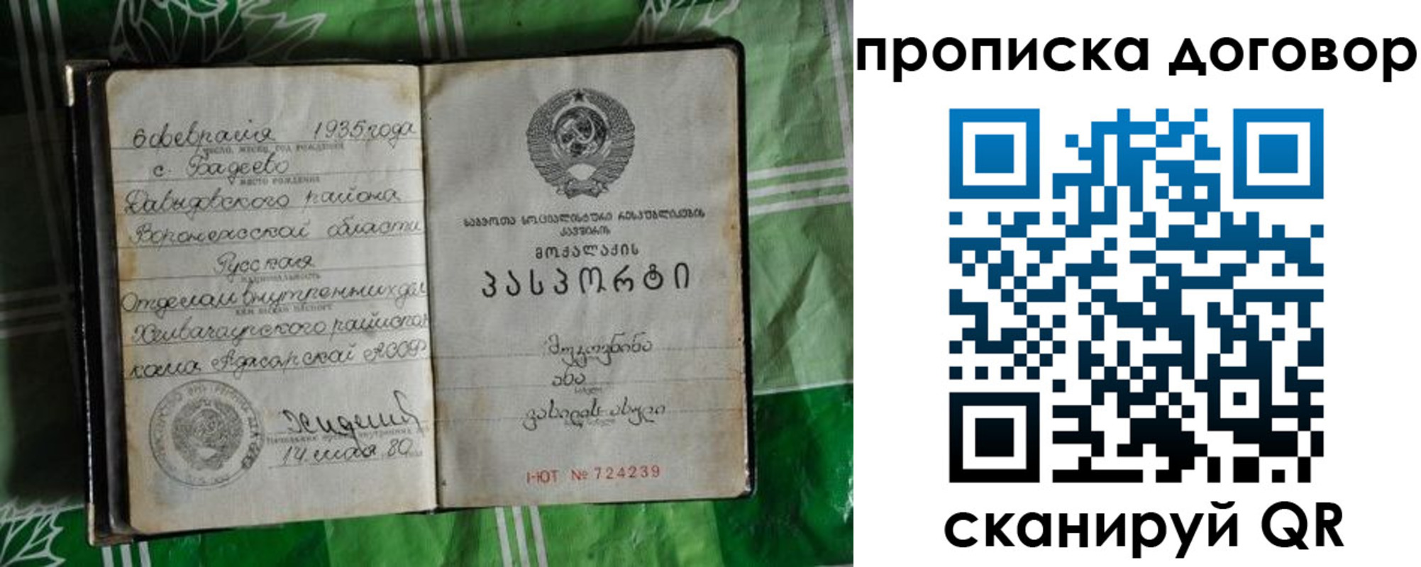 прописка в Полярных Зорях